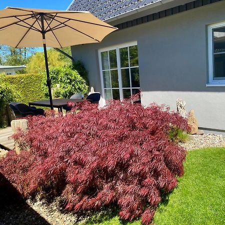 Ferienhaus Buhne 31 Prerow Exteriér fotografie